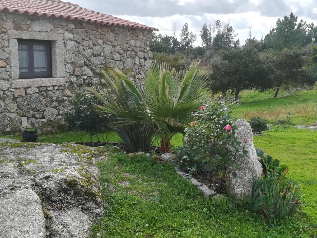 Eiras Do Dao Hotel Penalva do Castelo Bagian luar foto