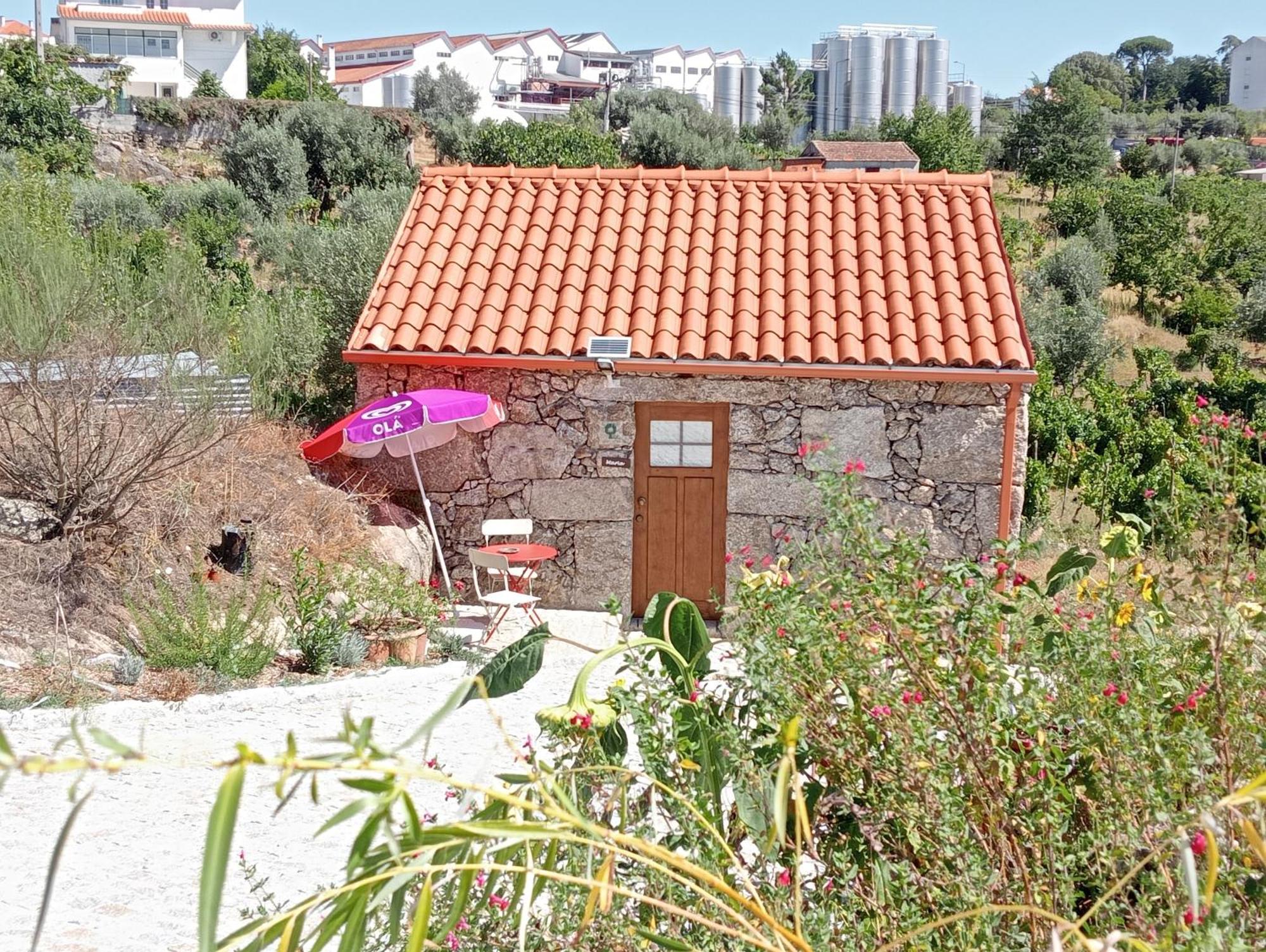 Eiras Do Dao Hotel Penalva do Castelo Bagian luar foto